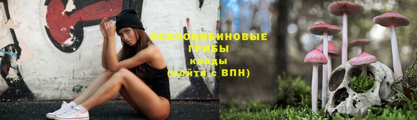 прущие крисы Абаза