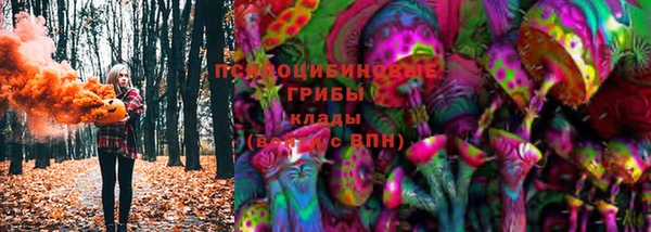 прущие крисы Абаза