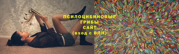 ГАЛЛЮЦИНОГЕННЫЕ ГРИБЫ Абдулино
