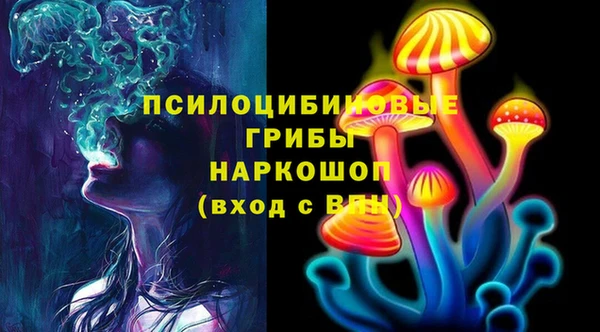 прущие крисы Абаза